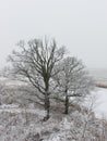 Winter rural scene with fog and white fields Royalty Free Stock Photo