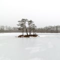 Winter rural scene with fog and white fields Royalty Free Stock Photo