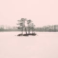 Winter rural scene with fog and white fields - retro vintage eff Royalty Free Stock Photo