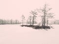 Winter rural scene with fog and white fields - retro vintage eff Royalty Free Stock Photo