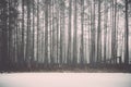 Winter rural scene with fog and white fields - retro vintage eff Royalty Free Stock Photo