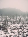 Winter rural scene with fog and white fields - retro vintage eff Royalty Free Stock Photo