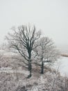 Winter rural scene with fog and white fields- vintage effect Royalty Free Stock Photo