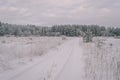 winter rural scene with snow and white fields- vintage effect Royalty Free Stock Photo