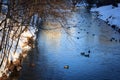 Winter Russian Park, mirror in pond or river and ducks. It is sunset time. Royalty Free Stock Photo