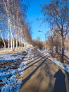 Winter russian park Royalty Free Stock Photo