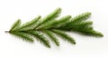 Winter\'s Elegance: Ethereal Fir Branch on a Pure White Canvas