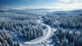 Winter's Embrace: Aerial Serenity of Snow-Covered Forest Road