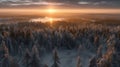 Winter\'s Embrace: Aerial Splendor of Finnish Forest