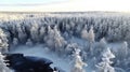 Winter\'s Embrace: Aerial Symphony of a Finnish Forest Royalty Free Stock Photo