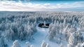 Winter\'s Embrace: Aerial Symphony of a Finnish Forest Royalty Free Stock Photo