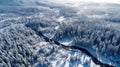 Winter\'s Embrace: An Enchanting Aerial Glimpse of Finland\'s Serene Forest