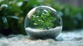 Winter\'s Embrace: A Green Plant in a Glass Ball on Snow