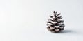Winter\'s gentle touch a single snow-dusted pine cone on a pristine white surface. Generative AI Royalty Free Stock Photo