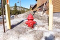 Winter\'s Grip on Fire Safety: A Hydrant in the Snow