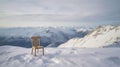 Winter\'s Solitude: A Simple Wooden Chair on an Alpine Mountain Peak