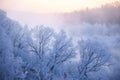 Winter`s Tale in northeast  China Royalty Free Stock Photo