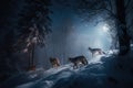 Winter\'s Tales Snowy Forest with a Pack of Wolves Roaming under the Starry Sky