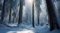Winter\'s Whisper A Festive Forest Journey Winter Christmas background