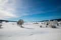 Winter at Saint Laurent en Grandvaux Royalty Free Stock Photo