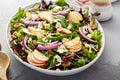 Winter salad with apple and pecans with vinaigrette dressing Royalty Free Stock Photo