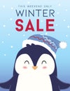 Winter sale banner design with Penguin Royalty Free Stock Photo