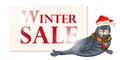 Winter sale banner, sign, background with polar dichtung