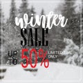 Winter sale lettering design season shopping template special discount poster over blur snowy fir tree forest background Royalty Free Stock Photo