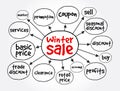 Winter sale mind map, business concept for presentations and reports