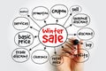 Winter sale mind map, business concept for presentations and reports