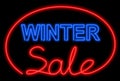 Winter sale neon