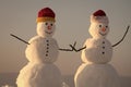 Winter sale. Snowman couple outdoor.