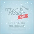 Winter sale banner special isolated vector image. winter sale text in snow pattern background for shopping promotion Royalty Free Stock Photo