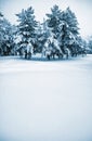 Winter scene Royalty Free Stock Photo