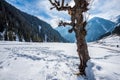 The winter scene in Aru Valley near Pahalgam, Kashmir, India