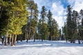 The winter scene in Aru Valley near Pahalgam, Kashmir, India Royalty Free Stock Photo