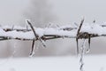 winter scene of barbed wire with snow and ice Royalty Free Stock Photo
