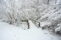 A winter scene of a bridge and surrounding footpath and trees covered in snow in Balls Wood, Hertford Heath, Uk.. Royalty Free Stock Photo