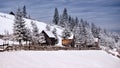 Winter scene in the Carpathian mountains , remote and harsh environment Royalty Free Stock Photo