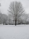 Winter Scene at Cedar Hill Park