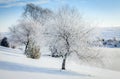 Winter scene in Central Kentucky Royalty Free Stock Photo