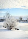 Winter scene in Central Kentucky Royalty Free Stock Photo