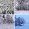 Winter scene collage