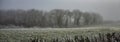 Winter scene in the Cotswolds - background banner image