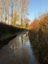 Winter scene, country lane with relections in flood water