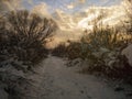 Winter scene in countryside near Derventa, Bosnia and Herzegovina