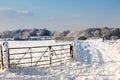 Winter scene in East Grinstead Royalty Free Stock Photo