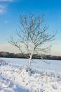 Winter scene in East Grinstead Royalty Free Stock Photo