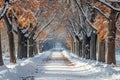 A winter scene featuring a road covered in snow, surrounded by trees with snowy branches and fallen leaves on the ground, Snowy Royalty Free Stock Photo