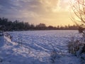 Winter scene on field in Luzani Bosanski near Derventa, Bosnia and Herzegovina